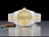 Rolex Datejust 36 Champagne Jubilee Crissy Diamonds Dial 16233